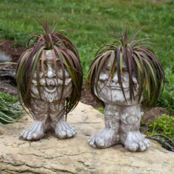 Mad About Mangave® 'Bad Hair Day' Mangave 6 Mad About Mangave® 'Bad Hair Day' Mangave -Great Garden Plants Mangave BadHairDay Mangave