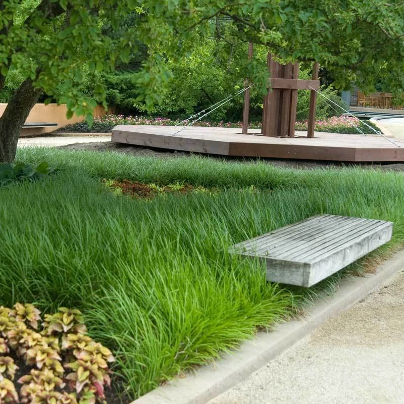 Lilyturf 4 Lilyturf - Image 2